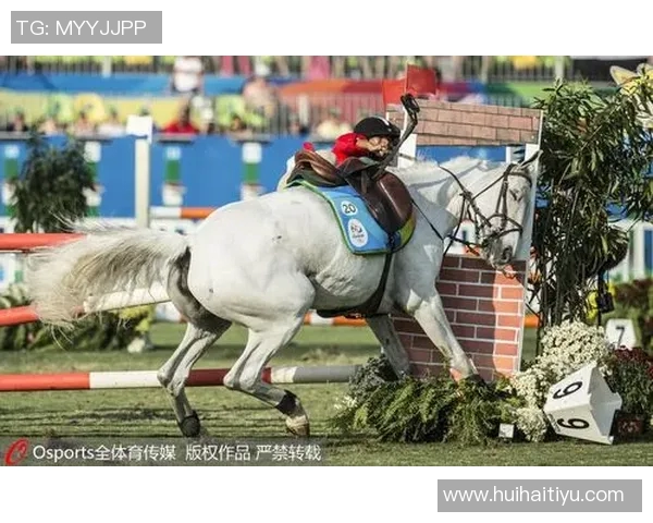 2006年篮网对决回顾：经典比赛中的精彩瞬间与球员表现分析