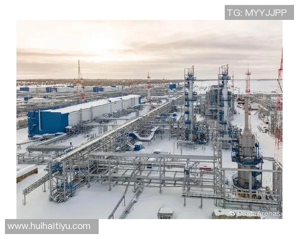 亚马尔地区的能源开发与国际合作前景分析及其对全球市场的影响