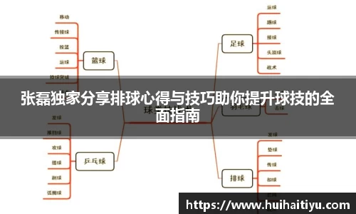 张磊独家分享排球心得与技巧助你提升球技的全面指南
